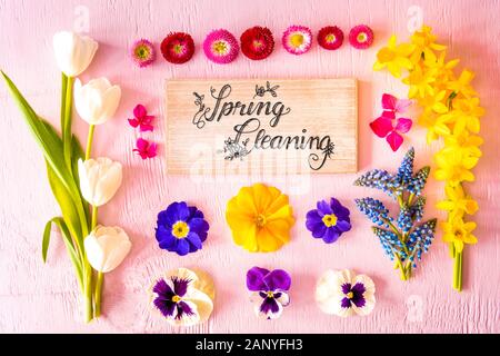 Rustikales Holzschild mit englischen Kalligraphie Frühjahrsputz. Flach mit Frühling Blumen. Holz- Rosa Hintergrund Stockfoto