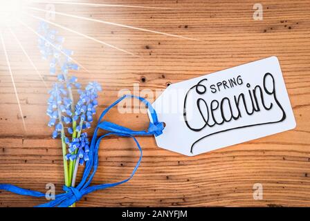 Etikett mit englischen Kalligraphie Frühjahrsputz. Sonnigen blauen Feder Hyazinthe Blüte auf rustikalen Holzmöbeln Hintergrund. Stockfoto