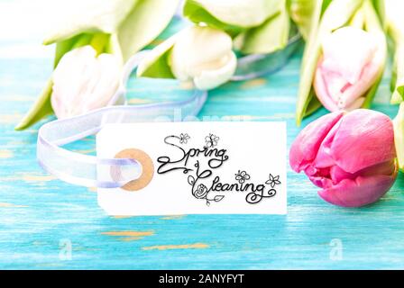 Ein Etikett mit englischen Kalligraphie Frühjahrsputz. Tulip blühen auf Holz- Hintergrund Stockfoto