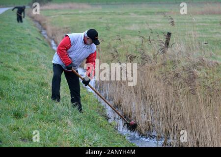 Nordenham, Deutschland. 18 Jan, 2020. Eine Bossel Player verwendet eine Kraber (einem Metallkorb zu einem Stil befestigt ist) an Fisch eine Bossel Kugel aus einem Graben. Foto: Michael Bahlo/dpa/Alamy leben Nachrichten Stockfoto