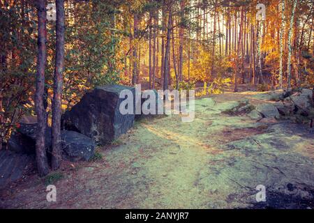 Granitblöcke, die in den Wald in den frühen Morgenstunden Stockfoto
