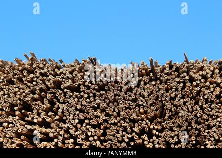 Stapel von afrikanischen Strohhalmen mit dem blauen Himmel in Der Hintergrund Stockfoto