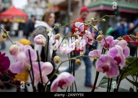 San Francisco, USA. 19 Jan, 2020. Menschen besuchen ein Frühlingsfest in der Chinatown in San Francisco, USA, Jan. 19, 2020 Messe. Das jährliche Frühlingsfest Messe verfügt über eine Vielzahl von kleinen Geschenken, gutes Neues Jahr - viel Glück, eingemachte Blumen sowie Chinese Folk Performances. Credit: Li Jianguo/Xinhua/Alamy leben Nachrichten Stockfoto