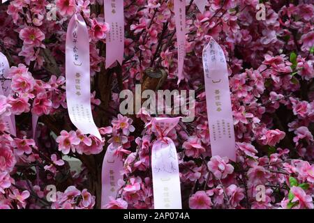 Nahaufnahme der Botschaften auf dem blühenden Wunschbaum im Mo Tempel in Hongkong. Stockfoto