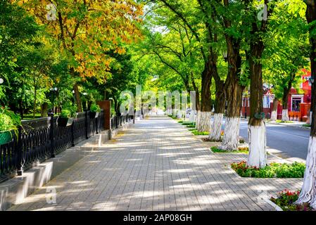 Die Acacia Gasse im Herbst Park. Sonnigen Tag. Das Konzept der Herbstferien. Stockfoto