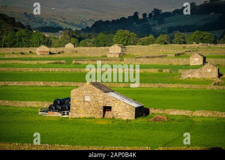 Steinmauern und Scheunen in Gunnerside in Swaledale. Stockfoto