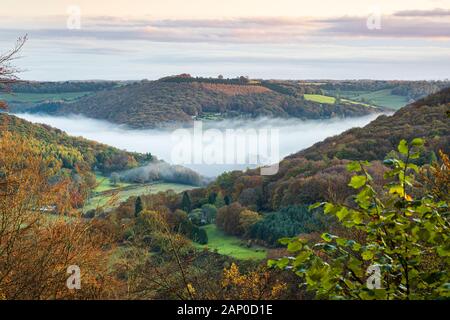 Morgennebel im Wye Tal zwischen Llandogo und Bigswier. Stockfoto