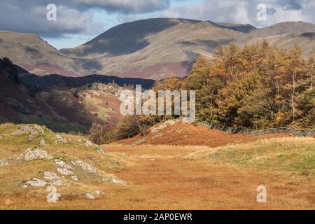 Unterhalb Von Hodge Close, Little Langdale #1 Stockfoto