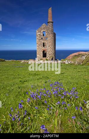 Wheal Owles Tin Mining Engine House in der Nähe von Botallack im Westen von Cornwall. Stockfoto