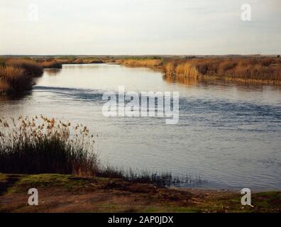 Syrien. Flusslauf Der euphrat zwischen Deir ez-Zor und Abou Kemal. Euphrat Valley, Wiege der Zivilisation der westlichen Asien. (Mesopotamien). Stockfoto