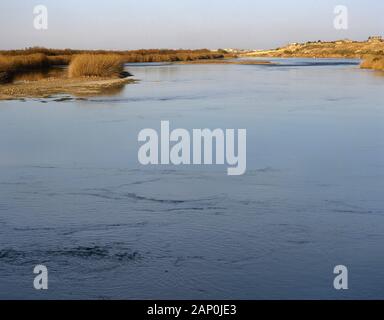 Syrien. Flusslauf Der euphrat zwischen Deir ez-Zor und Abou Kemal. Euphrat Valley, Wiege der Zivilisation der westlichen Asien. (Mesopotamien). Stockfoto