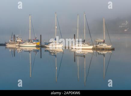 Crosshaven, Cork, Irland. 20. Januar, 2020. Am frühen Morgen Licht catchs Yachten festgemacht an der Marina an der Royal Cork Yacht Club, während Nebel beginnt in Crosshaven, Co Cork, Irland zu löschen. Kredit; David Creedon/Alamy leben Nachrichten Stockfoto