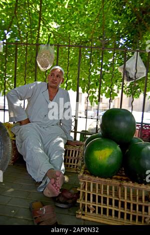 Melone Verkäufer wartet auf Kunden neben seinem große Melonen auf einer belebten Straße auf dem Nil Insel Zamalek, genommen am 15.06.2019. Foto: Matthias Todt/dpa-Zentralbild/ZB/Picture Alliance | Verwendung weltweit Stockfoto