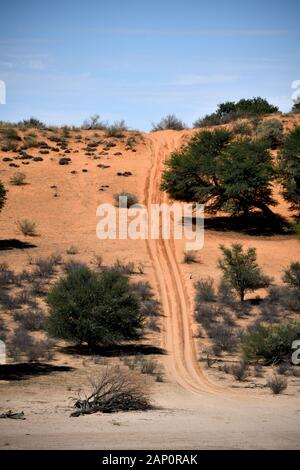 In der Nähe von Gruenau, Namibia. 26 Feb, 2019. Kommerzielle Routen in einem privat geführten Game Reserve in der Namibischen Provinz Karas, am 02.26. 2019. Off-road Fahrzeuge mit Besucher, den sie auf die Reserve entlang fahren und unzugänglich wie unbefestigte Wege in eine Pirschfahrt auf der Suche nach wilden Tieren. Credit: Matthias Toedt/dpa-Zentralbild/ZB/Picture Alliance | Verwendung weltweit/dpa/Alamy leben Nachrichten Stockfoto