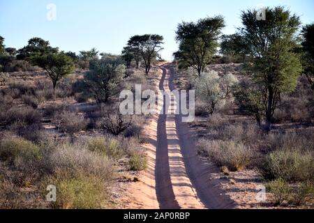 In der Nähe von Gruenau, Namibia. 27 Feb, 2019. Kommerzielle Routen in einem privat verwalteten game reserve in der Namibischen Provinz Karas, am 27/02/2019. Off-road Fahrzeuge mit Besucher, den sie auf die Reserve entlang fahren und unzugänglich wie unbefestigte Wege in eine Pirschfahrt auf der Suche nach wilden Tieren. Credit: Matthias Toedt/dpa-Zentralbild/ZB/Picture Alliance | Verwendung weltweit/dpa/Alamy leben Nachrichten Stockfoto