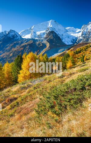 Der Berg Mont Collon (3637 m) im Herbst. Tal von Arolla, Wallis, Schweiz Stockfoto