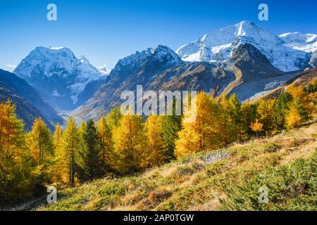 Der Berg Mont Collon (3637 m) im Herbst. Tal von Arolla, Wallis, Schweiz Stockfoto