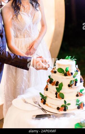 Zugeschnittenes Bild der Hände von eleganten hübsche junge Braut und Bräutigam die Hochzeitstorte, mit Feigen, frisch Black und Grün dekoriert Stockfoto