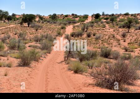 In der Nähe von Gruenau, Namibia. 27 Feb, 2019. Kommerzielle Routen in einem privat verwalteten game reserve in der Namibischen Provinz Karas, am 27/02/2019. Off-road Fahrzeuge mit Besucher, den sie auf die Reserve entlang fahren und unzugänglich wie unbefestigte Wege in eine Pirschfahrt auf der Suche nach wilden Tieren. Credit: Matthias Toedt/dpa-Zentralbild/ZB/Picture Alliance | Verwendung weltweit/dpa/Alamy leben Nachrichten Stockfoto