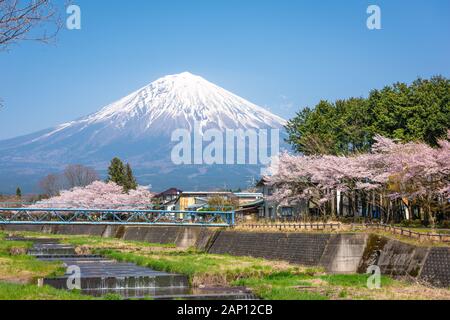 Mt. Fuji gesehen aus ländlichen Präfektur Shizuoka im Frühjahr Saison. Stockfoto