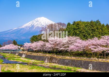 Mt. Fuji gesehen aus ländlichen Präfektur Shizuoka im Frühjahr Saison. Stockfoto