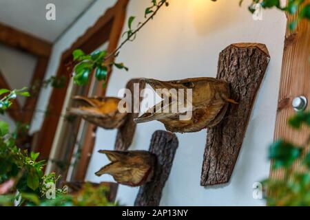 Getrocknete Hechtköpfe an einer Hauswand in Hallstatt, Österreich. Stockfoto