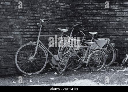 Drei fahrräder Gras vor einer Mauer aus Stein in Schwarz und Weiß Stockfoto