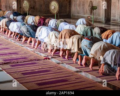 Muslime beten in Jama Maschid in Lahore, einer der größten Moscheen Asiens Stockfoto