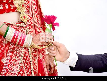 Indischer Bräutigam gibt Rose Blume zu Braut Hochzeit Stockfoto