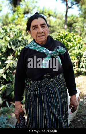 Porträt einer älteren indigenen Frau. Hinter den Kulissen einer Kaffeeplantage auf der San Lazaro St, Antigua, Guatemala. Januar 2019 Stockfoto