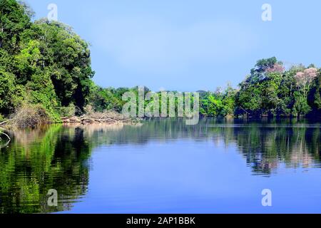 Schönen blauen See in der Selva Region in Peru. Der blaue Himmel und die blaue See sind durch einen Dschungel Linie getrennt. Stockfoto