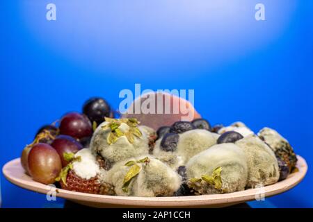 Früchte und Beeren in einer Schale, die VERROTTETE und schimmelig Stockfoto