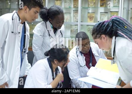 Ärzte, gemischte Rasse, im Klassenzimmer, bei einer medizinischen Konferenz. Junge Menschen in weißen Kitteln, mit stethoskope, studieren Medizin. Klassenzimmer, Ana Stockfoto