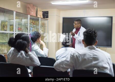 Ärzte, gemischte Rasse, im Klassenzimmer, bei einer medizinischen Konferenz. Junge Menschen in weißen Kitteln, mit stethoskope, studieren Medizin. Klassenzimmer, Ana Stockfoto