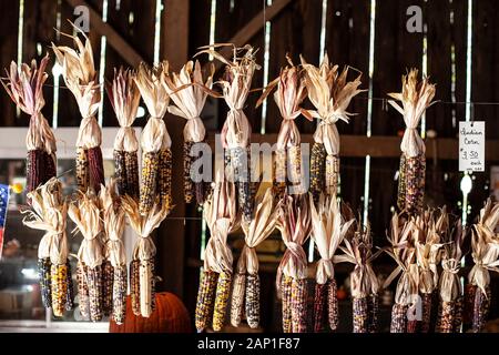 Indischen Mais an einem strassenrand Farmers Market im Südwesten Vermont, USA Stockfoto