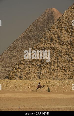 Touristen, die ein Kamel auf dem Giza-Plateau in Ägypten reiten Stockfoto