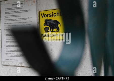 20. Januar 2020, Mecklenburg-Vorpommern, Greifswald: ein Schild mit der Aufschrift "Vorsicht! Wildschweine' hängt, auf dem Gelände des Volksstadion. Die Wildschweine, die sich auf dem weitläufigen Gelände des Volksstadion gewohnt haben, sind in der Zeit gefahren. Das Stadion ist am 21.01 wieder geöffnet werden muss. 2020. Letzten Freitag die Stadt Förster hatte versucht, ein Rudel Wildschweine aus dem volksstadion Bereich zu fahren. Die volksstadion war dann geschlossen worden, und das Fußballspiel der Greifswalder FC gegen die U19 des FC Hansa Rostock, für Freitag Abend geplant, wurde aus Sicherheitsgründen abgesagt. In Fe Stockfoto