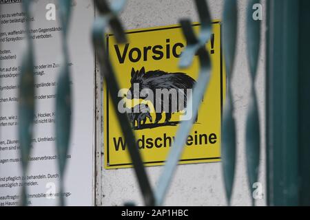 20. Januar 2020, Mecklenburg-Vorpommern, Greifswald: ein Schild mit der Aufschrift "Vorsicht! Wildschweine' hängt, auf dem Gelände des Volksstadion. Die Wildschweine, die sich auf dem weitläufigen Gelände des Volksstadion gewohnt haben, sind in der Zeit gefahren. Das Stadion ist am 21.01 wieder geöffnet werden muss. 2020. Letzten Freitag die Stadt Förster hatte versucht, ein Rudel Wildschweine aus dem volksstadion Bereich zu fahren. Die volksstadion war dann geschlossen worden, und das Fußballspiel der Greifswalder FC gegen die U19 des FC Hansa Rostock, für Freitag Abend geplant, wurde aus Sicherheitsgründen abgesagt. In Fe Stockfoto