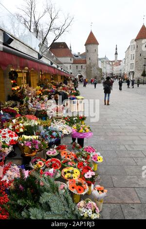 Winterblumenmarkt auf dem Virusplatz, mit Virusturm und Virustor im Hintergrund. Tallinn, Estland Stockfoto