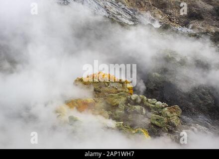 Der Solfatara gehört zur aktiven Vulkanprovinz der Phlegräischen Felder Stockfoto