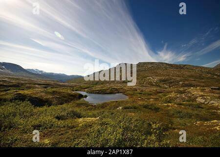 Sunndalsfjella Nationalpark Stockfoto