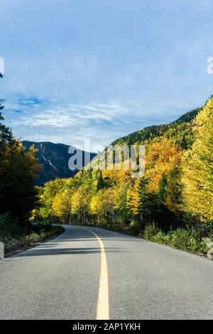 Fahren Sie an einem sonnigen Tag durch den Algonquin Provincial Park. Straßenbiegung. Malerische Herbstlandschaft in Gelb Stockfoto