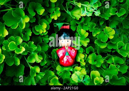 Japanische Kokeshi-Puppe aus Holz, gekleidet in traditionellem Kimono auf ginkgo biloba hintergrundiert, handgemalt in Rot und Blumenmusterglas Stockfoto