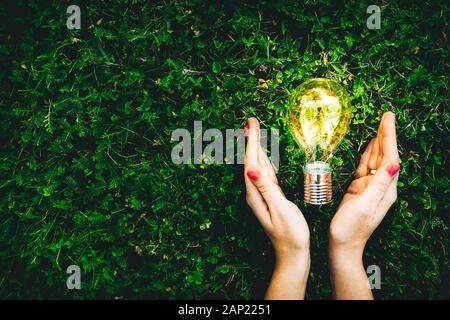 Glühbirne in Händen auf grünem Grasgrund. Konzept umweltfreundlicher Energie, Solarenergie, kreativer Geschäftsideen Stockfoto