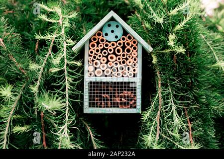 Holzunterkunft für Maurerbienen - DIY Hive (Bienenhaus) aus natürlichen Materialien. Symbol für umweltfreundliche Imkerei Stockfoto