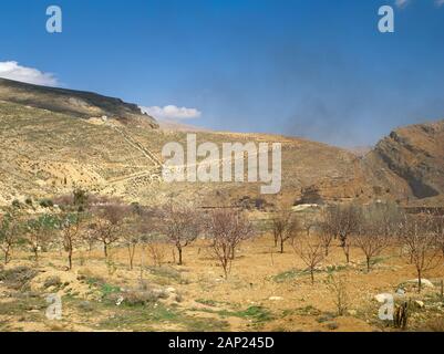 Syrien. Barada River Valley. Mandelblüte (westlich von Damaskus). Foto vor dem syrischen Bürgerkrieg. Stockfoto