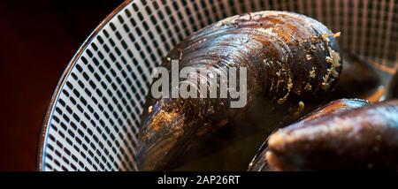 Detail einer Muschel in einer miesmuschel Suppe in einer Schüssel Suppe Stockfoto