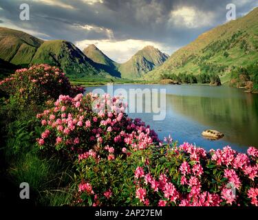 GB - Schottland: Glen Etive im Hochland Stockfoto