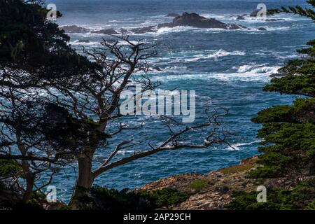 Blaue Winterwellen, die entlang der felsigen Pazifikküste des Point Lobos State Natural Reserve, Kalifornien, abstürzen Stockfoto