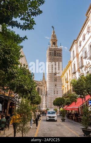 Sevilla Kathedrale und Giralda Glockenturm mit Gerüst, Sevilla, Renovierung, Andalusien, Spanien. Stockfoto